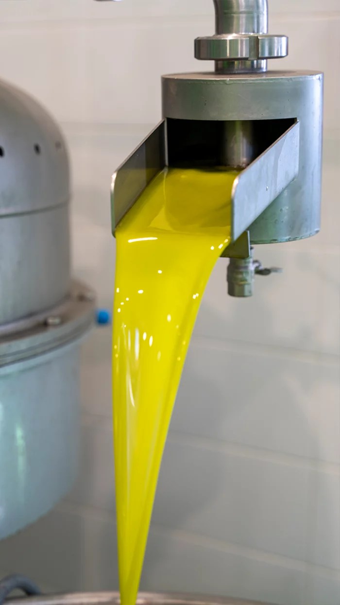 L'olio extravergine di oliva